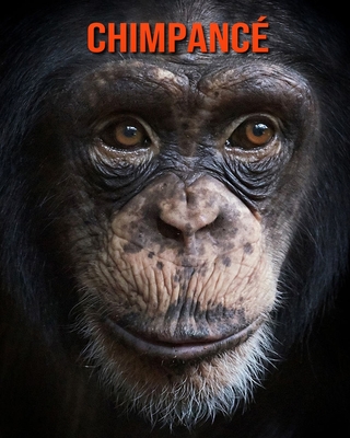 Chimpancé: Imágenes asombrosas y datos curiosos By Pam Louise Cover Image