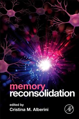 Memory Reconsolidation Cover Image