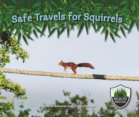 Safe Travels for Squirrels (Wildlife Rescue)