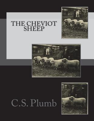 The Cheviot Sheep By Jackson Chambers (Introduction by), C. S. Plumb Cover Image