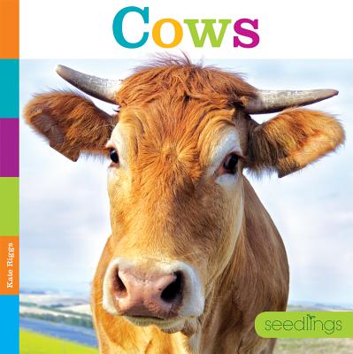 Seedlings: Cows By Kate Riggs Cover Image