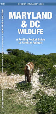 Maryland & DC Wildlife: A Folding Pocket Guide to Familiar Species (Pocket Naturalist Guide) By James Kavanagh, Waterford Press, Raymond Leung (Illustrator) Cover Image