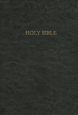 Pursuit of God Bible-NIV By Hendrickson Bibles (Compiled by) Cover Image