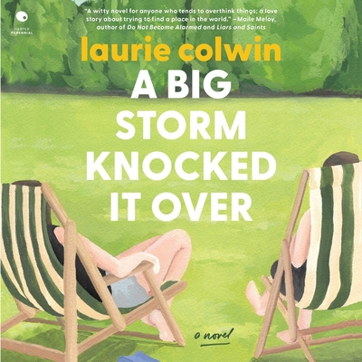 A Big Storm Knocked It Over Cover Image