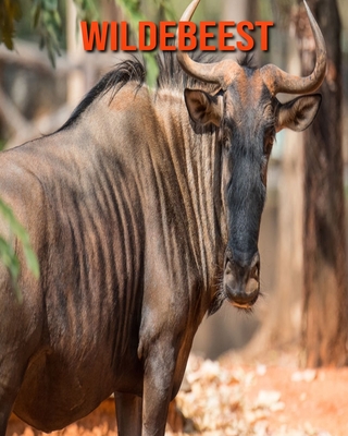 Wildebeest: Beautiful Pictures & Interesting Facts Children Book About Wildebeest By Alice William Cover Image