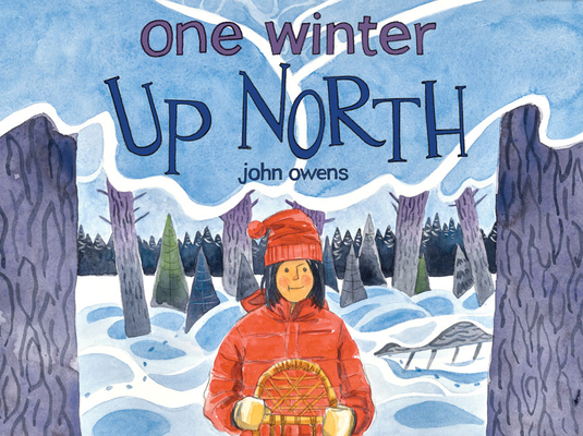 One Winter Up North By John Owens Cover Image