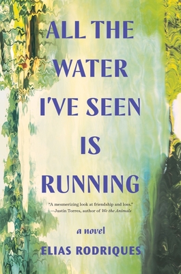 All the Water I've Seen Is Running: A Novel Cover Image