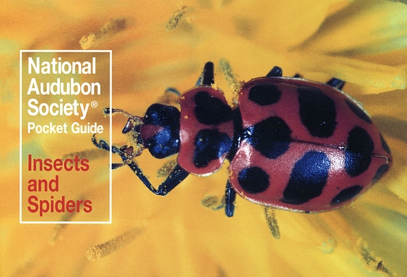 National Audubon Society Pocket Guide: Insects and Spiders (National Audubon Society Pocket Guides) Cover Image