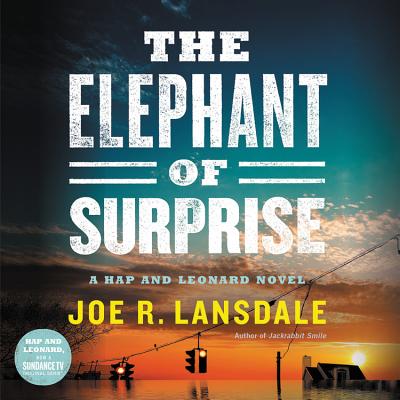 Cover for The Elephant of Surprise Lib/E