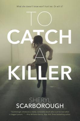 To Catch a Killer: A Novel (Erin Blake #1) Cover Image