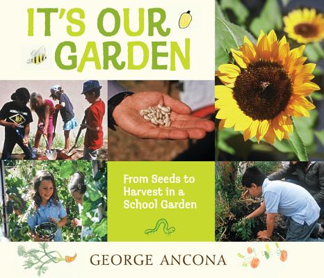 It's Our Garden: From Seeds to Harvest in a School Garden Cover Image