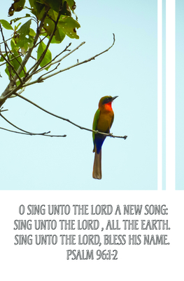 Sing Unto the Lord Bulletin (Pkg 100) General Worship By Broadman Church Supplies Staff (Contribution by) Cover Image