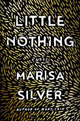 Cover Image for Little Nothing: A Novel