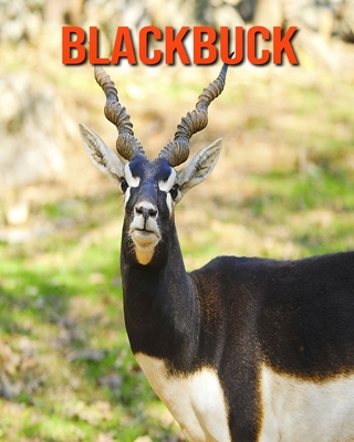 Blackbuck: Super Fun Facts And Amazing Pictures (Paperback) | Hooked