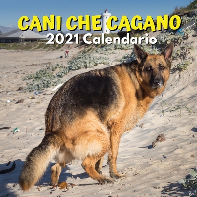 Cani Che Cagano Calendario 2021: Regali Divertenti (Paperback)