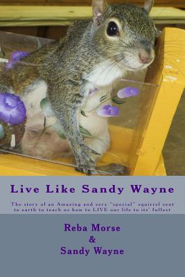 Live Like Sandy Wayne: The story of an Amazing and very "special" squirrel sent to earth to teach us how to LIVE our life to its' fullest