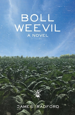Boll Weevil Cover Image