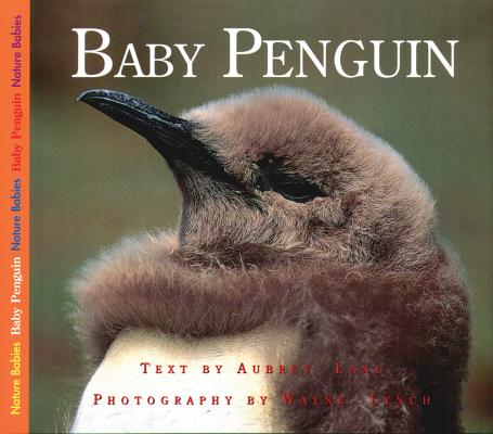 Baby Penguin (Nature Babies)