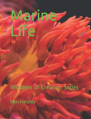 Marine Life: Wonders of Creation Series