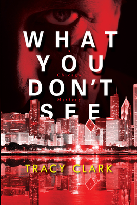 Cover for What You Don't See (A Chicago Mystery #3)