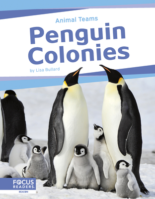 Penguin Colonies Cover Image