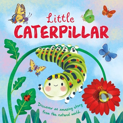 Nature Stories: Little Caterpillar: Padded Board Book By IglooBooks, Gisela Bohórquez (Illustrator) Cover Image