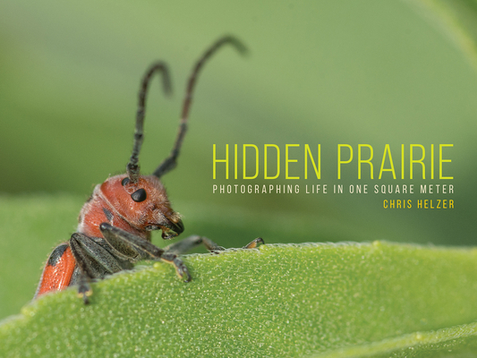 Hidden Prairie: Photographing Life in One Square Meter (Bur Oak Book) By Chris Helzer Cover Image