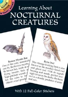 Learning about Nocturnal Creatures