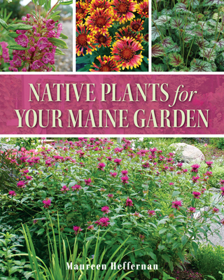 Native Plants for Your Maine Garden By Maureen Heffernan Cover Image
