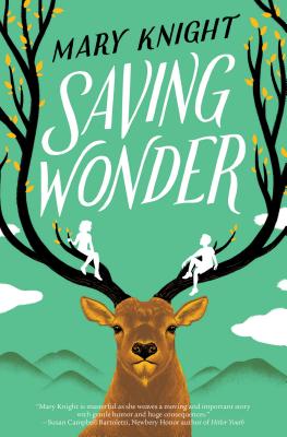 Cover Image for Saving Wonder