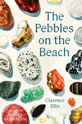 The Pebbles on the Beach Cover Image