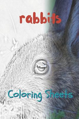 Rabbit Coloring Sheets: 30 Rabbit Drawings, Coloring Sheets Adults Relaxation, Coloring Book for Kids, for Girls, Volume 9 By Julian Smith Cover Image