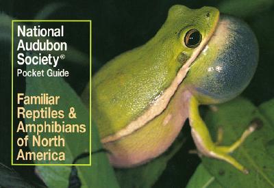 National Audubon Society Pocket Guide to Familiar Reptiles and Amphibians (National Audubon Society Pocket Guides) By National Audubon Society Cover Image