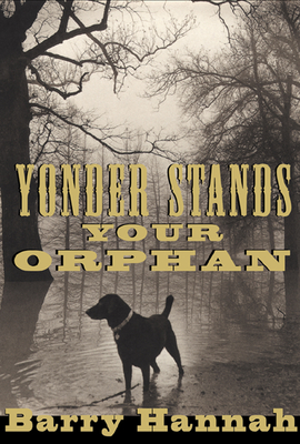 Cover for Yonder Stands Your Orphan