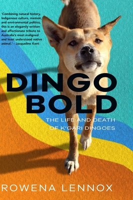 Dingo Bold: The Life and Death of K'gari Dingoes Cover Image