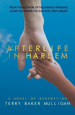 Afterlife in Harlem By Terry Baker Mulligan Cover Image