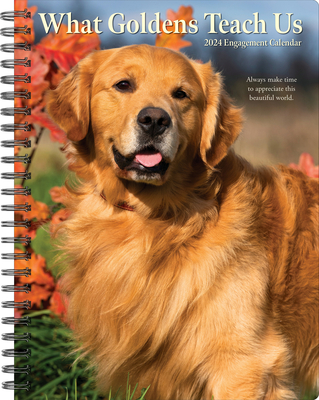 What Goldens Teach Us 2024 6.5 X 8.5 Engagement Calendar By Willow Creek Press Cover Image
