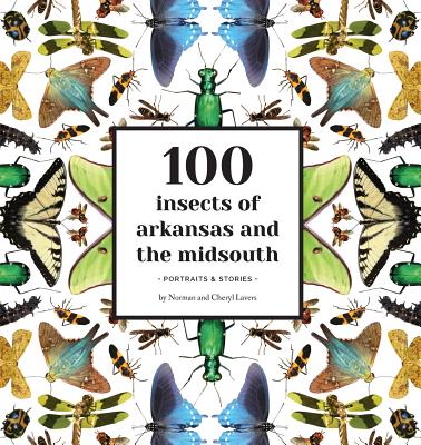 100 Insects of Arkansas and the Midsouth: Portraits & Stories By Norman Lavers, Cheryl Lavers Cover Image