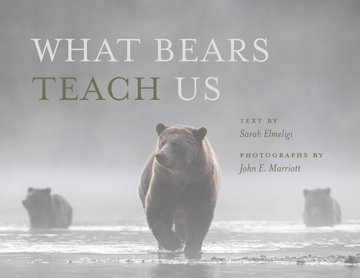 What Bears Teach Us By Sarah Elmeligi, John E. Marriott (Photographer) Cover Image