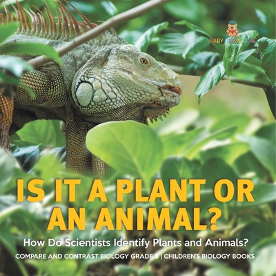 Is It a Plant or an Animal? How Do Scientists Identify Plants and Animals?  Compare and Contrast Biology Grade 3 Children's Biology Books (Paperback) |  Theodore's Books
