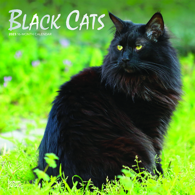 Black Cats 2023 Square Foil By Browntrout (Created by) Cover Image