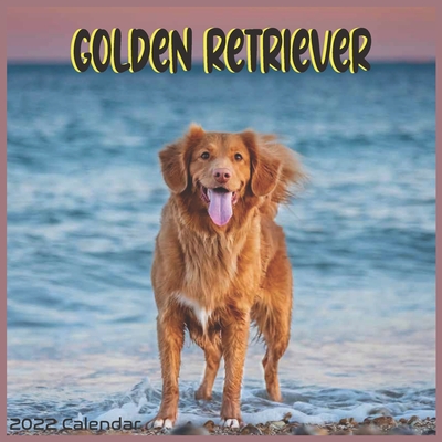 Golden Retriever Calendar 2022: Official Golden Retriever Dog Calendar 2022  16 Months (Paperback) | Hooked