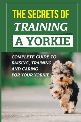 Training your hot sale yorkie