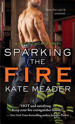 Cover for Sparking the Fire (Hot in Chicago)