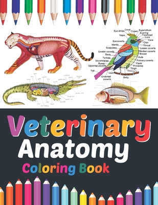 Veterinary Anatomy Coloring Book: Veterinary Anatomy Coloring and ...