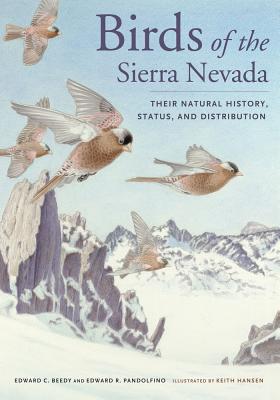 Birds of the Sierra Nevada: Their Natural History, Status, and Distribution By Ted Beedy, Ed Pandolfino, Keith Hansen (Illustrator) Cover Image