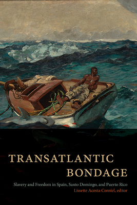 Transatlantic Bondage: Slavery and Freedom in Spain, Santo Domingo, and Puerto Rico (Suny Series)