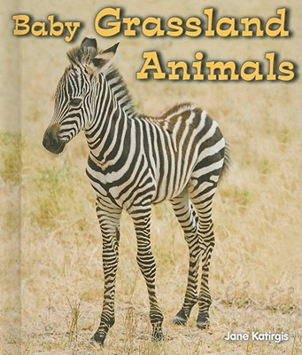 Baby Grassland Animals (All about Baby Animals)