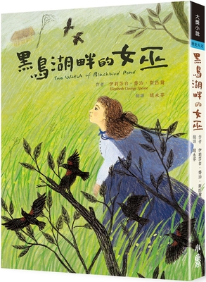 The Witch of Blackbird Pond