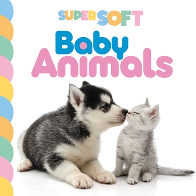 Super Soft Baby Animals: Photographic Touch & Feel Board Book By IglooBooks, DGPH Studio (Illustrator) Cover Image